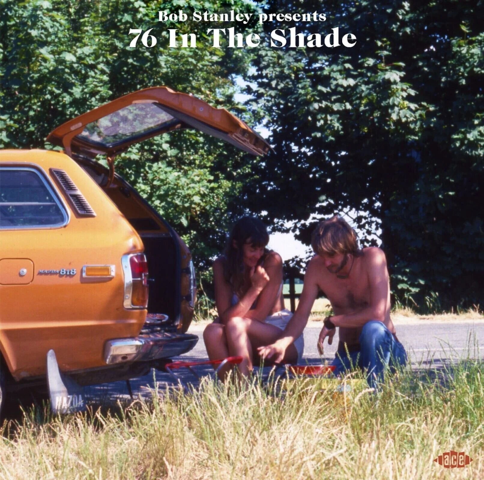 Bob Stanley Presents 76 In The Shade (Vinyl)
