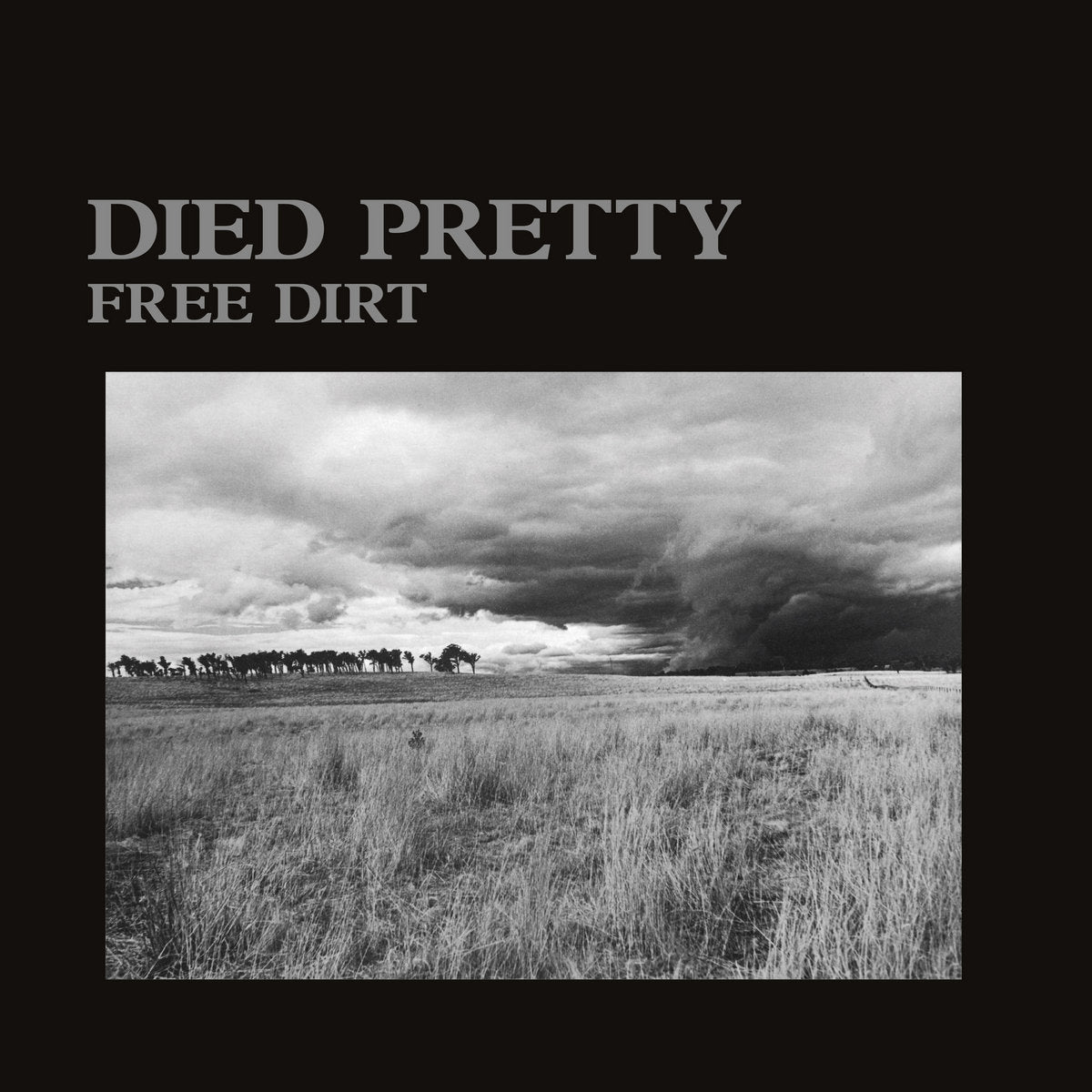 Free Dirt (Vinyl)