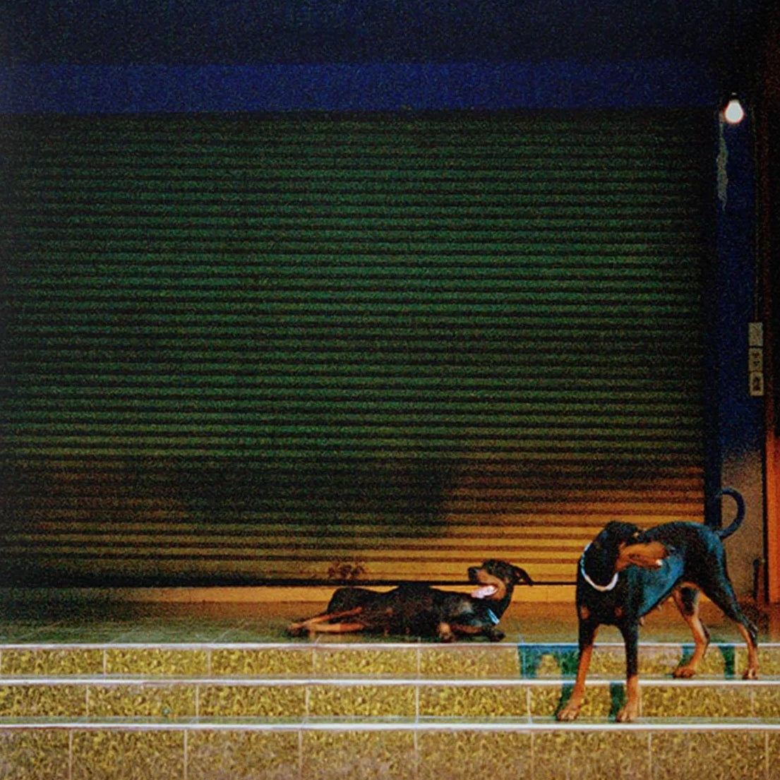 Pure Devotion (Indie Exclusive Blue Marble Vinyl)