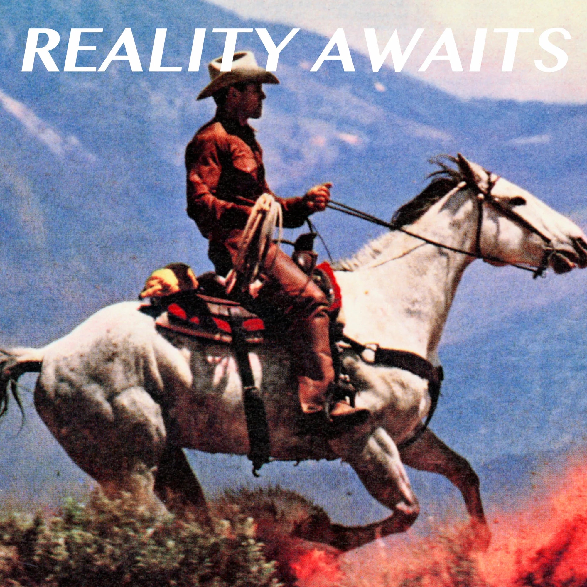 Reality Awaits (Vinyl)
