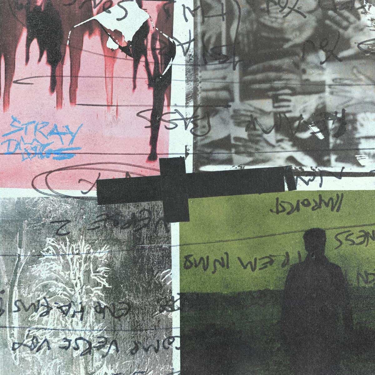 Stray Dogs (Indie Exclusive Pink Vinyl)