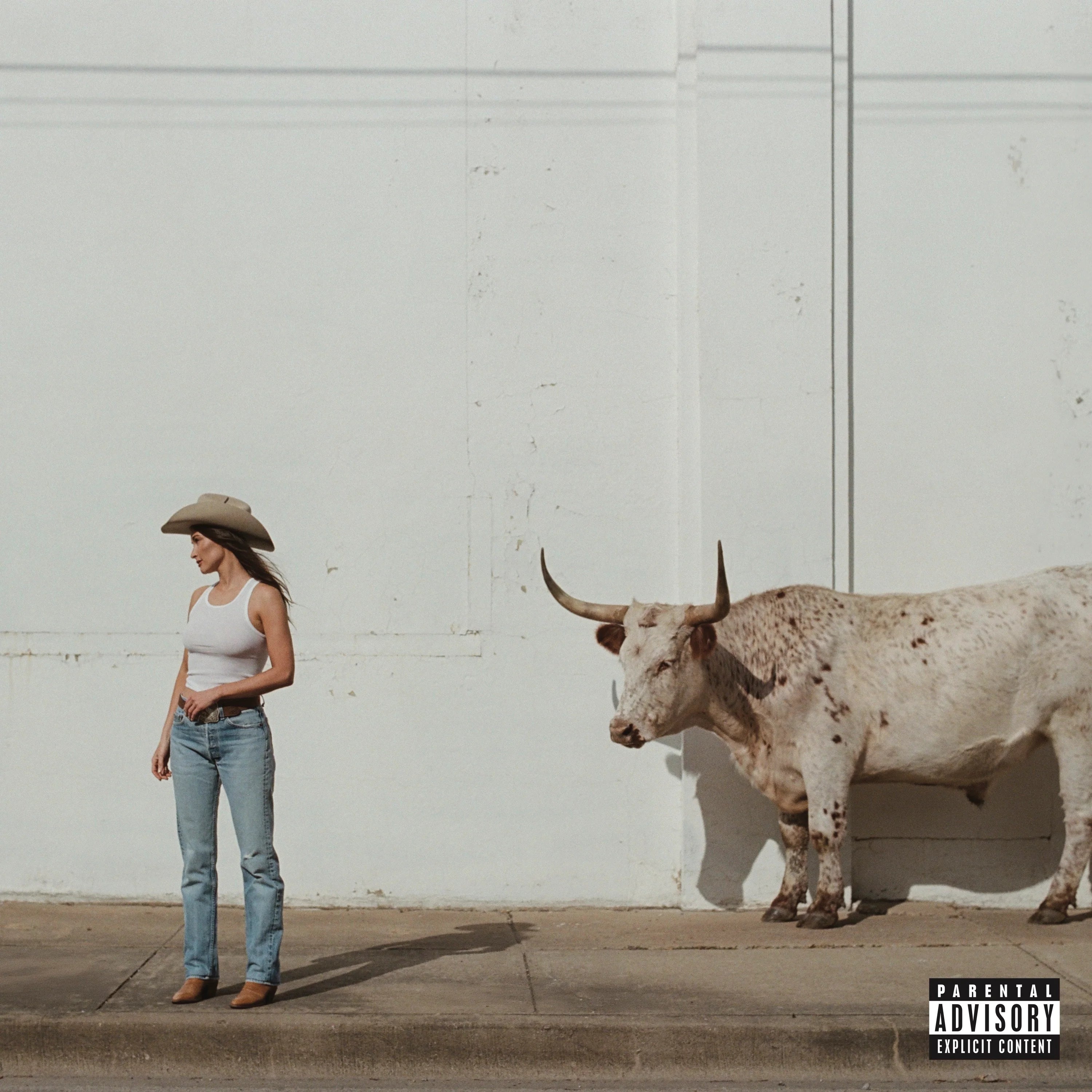 Middle Of Nowhere (Indie Red/Blue & Gold Swirl Rodeo Vinyl Edition)