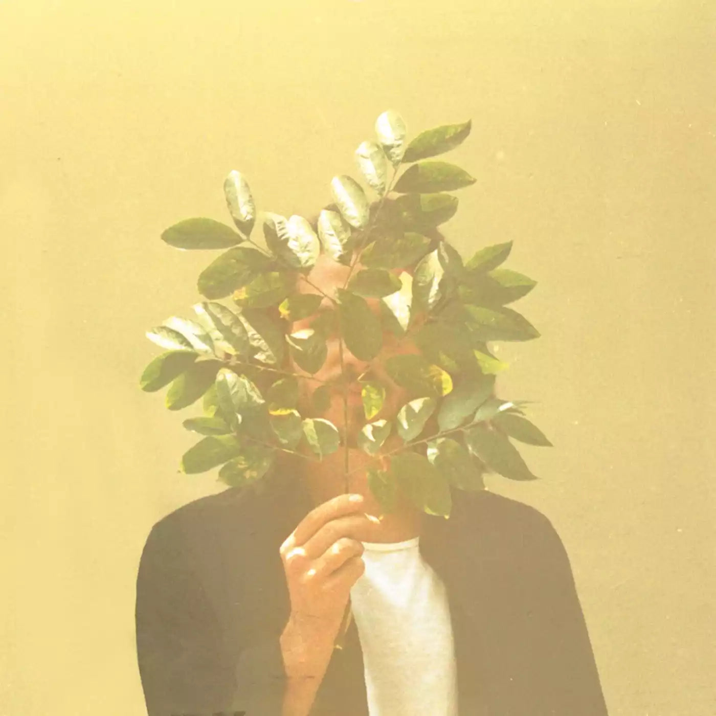 French Kiwi Juice (Vinyl)