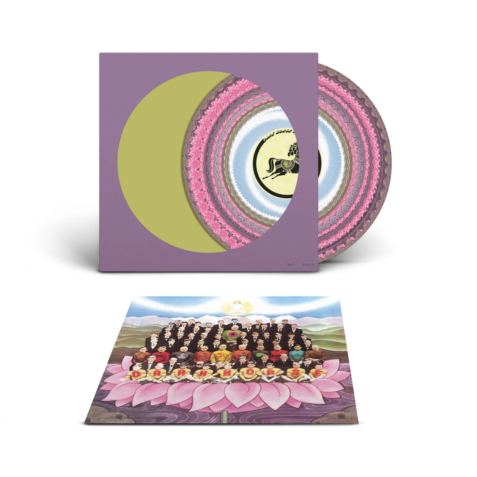 RSD2026 Dark Horse (Vinyl)