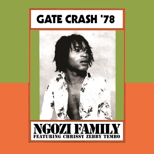 RSD2026 Gate Crash (Vinyl)