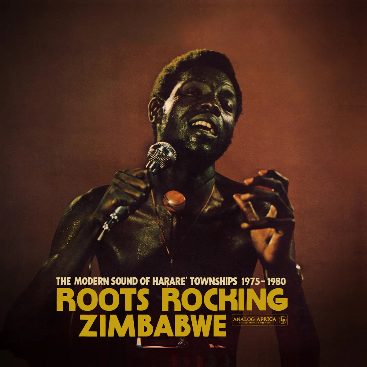 Roots Rocking Zimbabwe: The Modern Sound of Harare' Townships 1975 - 1980 (Vinyl)