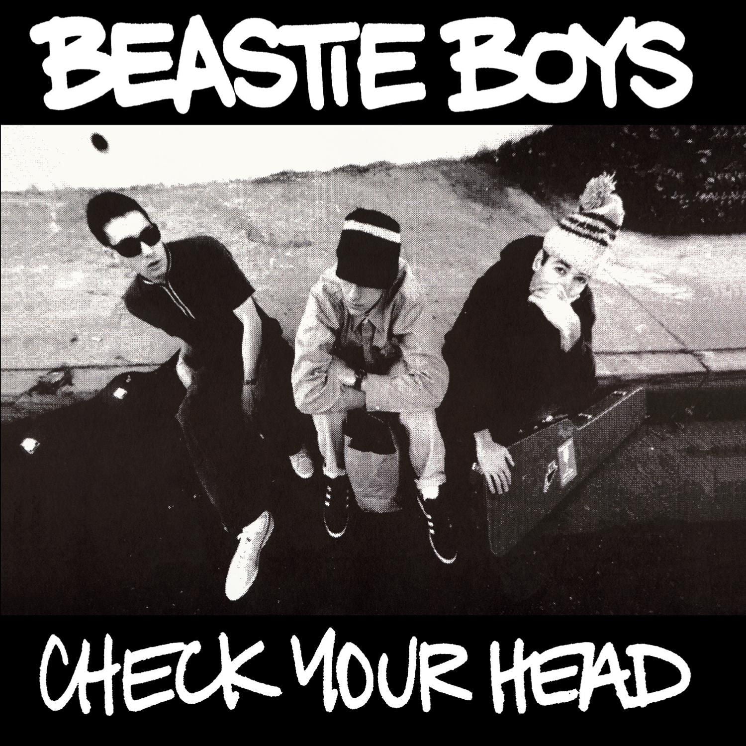 Check Your Head (Vinyl)