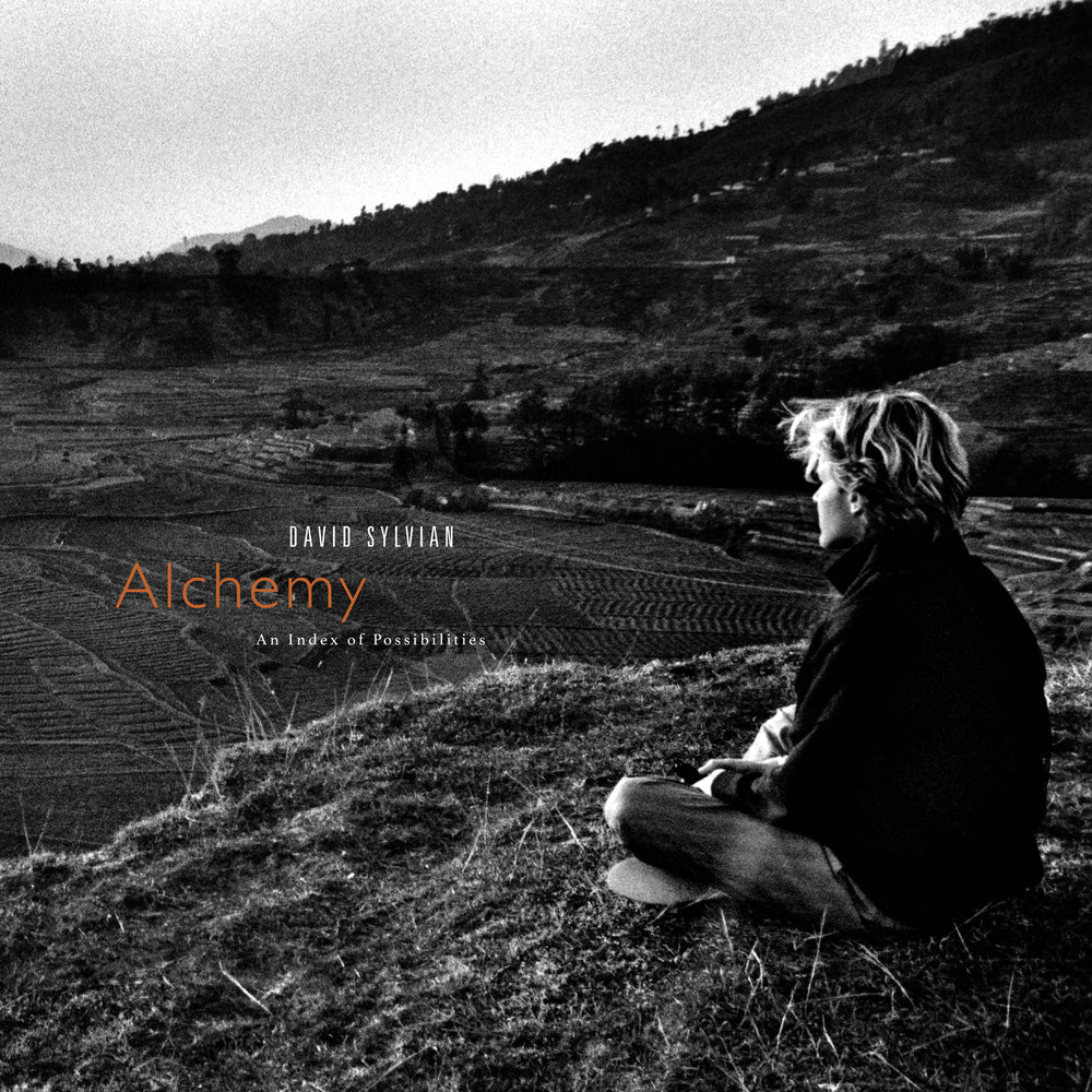 Alchemy: An Index Of Possibilities (Corona Gold Opaque Red Vinyl)