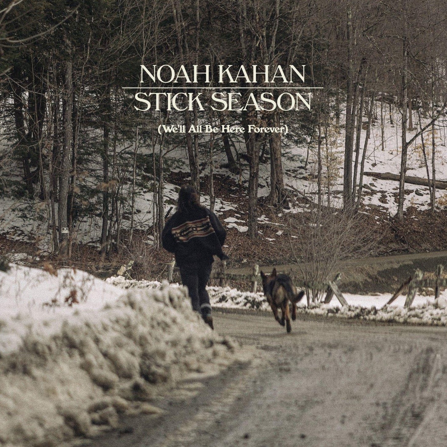Stick Season (We'll All Be Here Forever) (CD)
