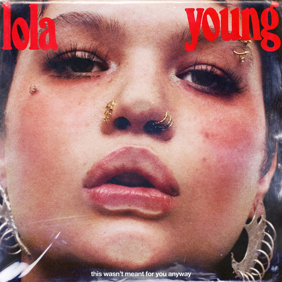This Wasn’t Meant For You Anyway (Red Vinyl)
