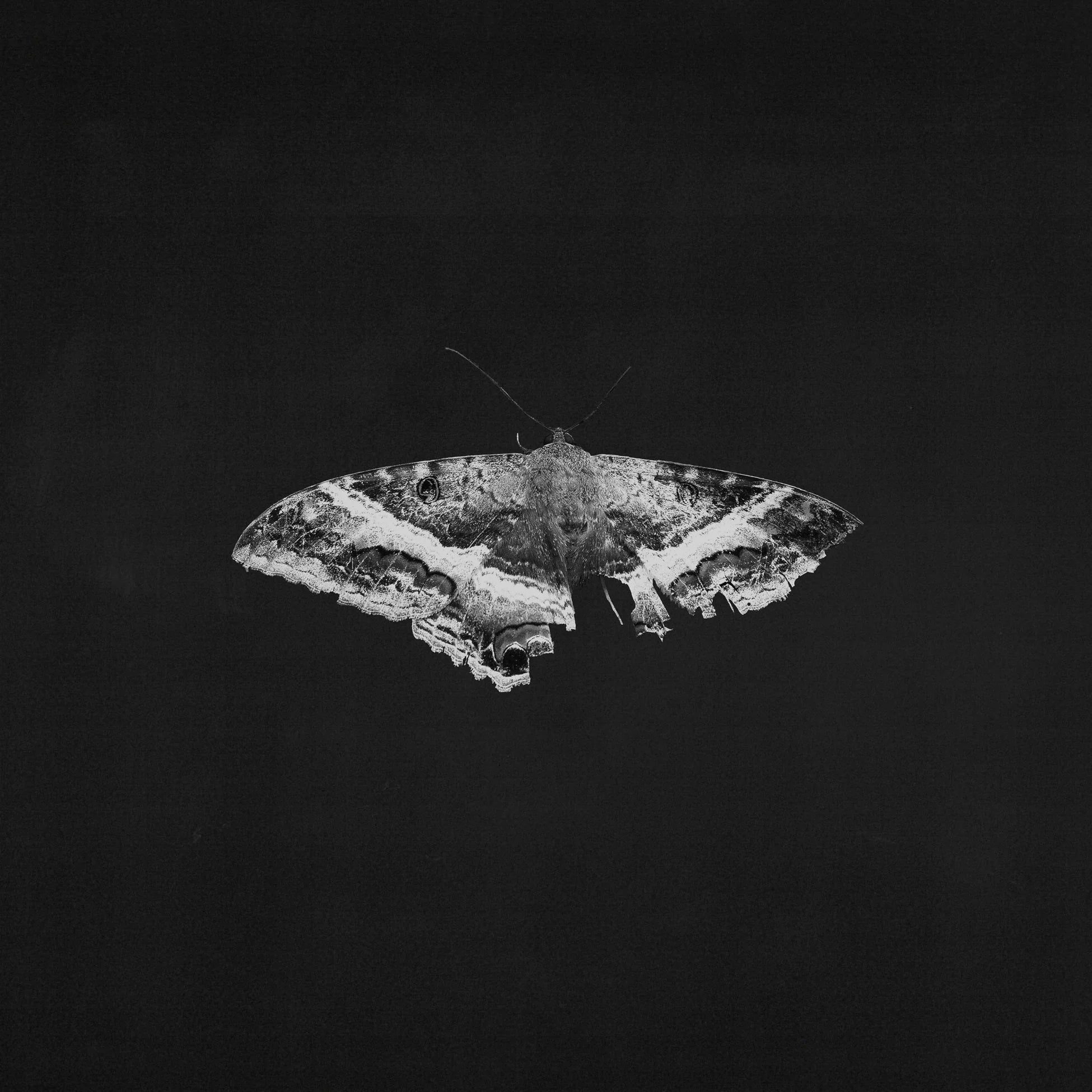 To Pimp A Butterfly: 10th Anniversary (Vinyl)