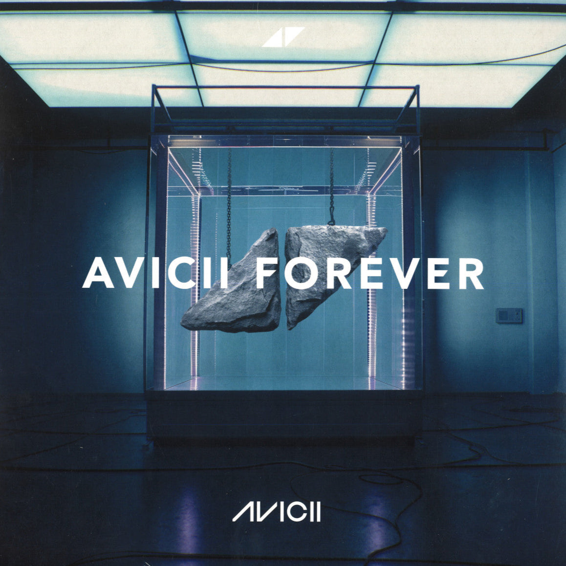 Avicii Forever (Vinyl)