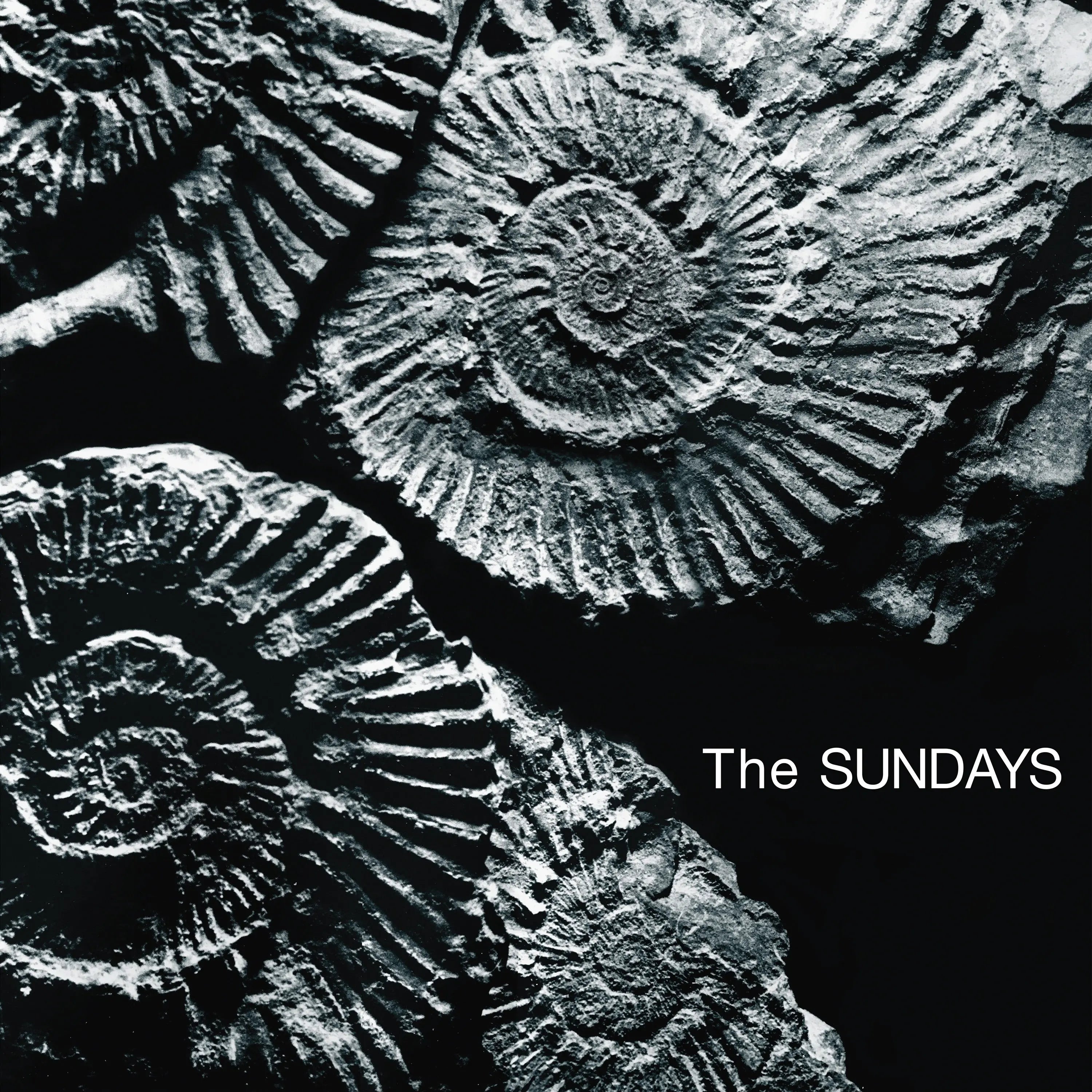 Reading, Writing & Arithmetic (Vinyl)