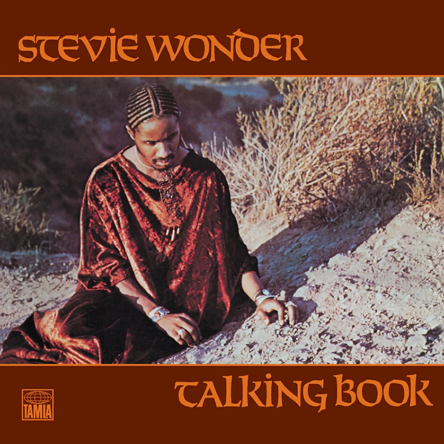 Talking Book (Vinyl)