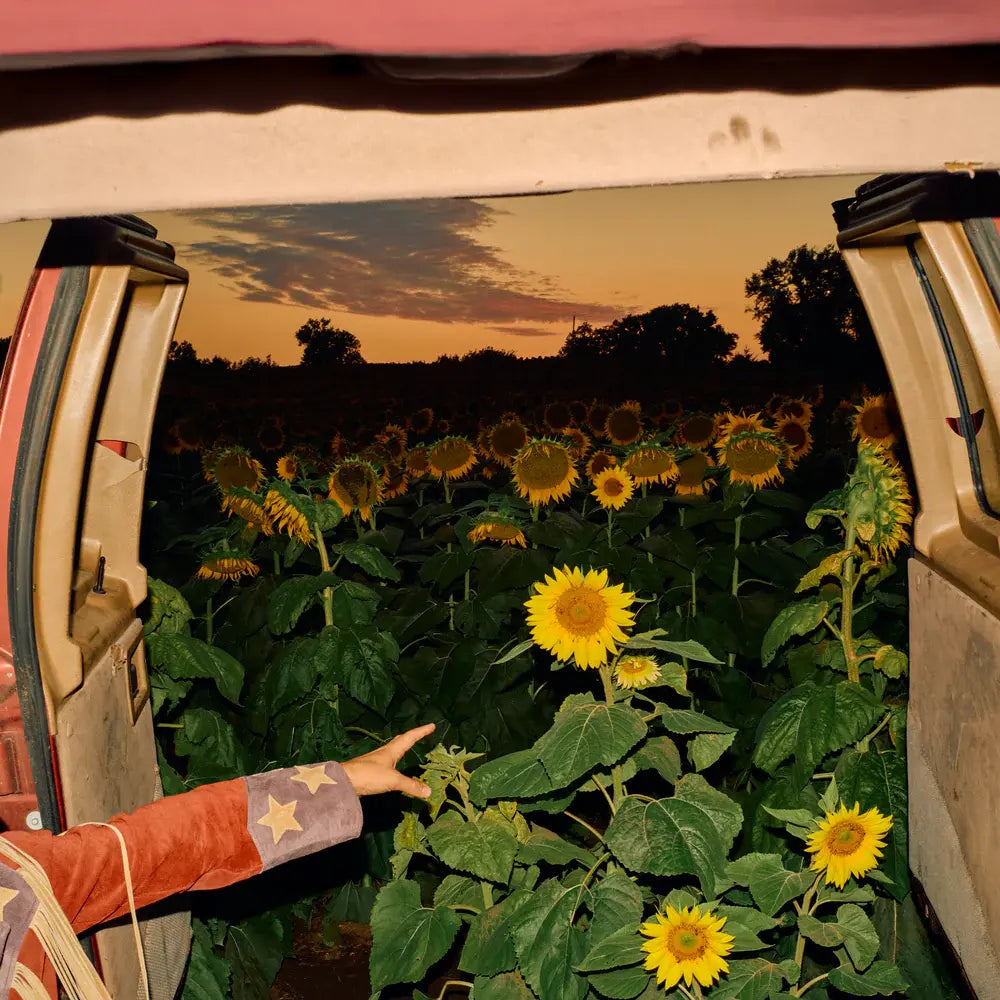 Little Wide Open (Ecomix Vinyl)