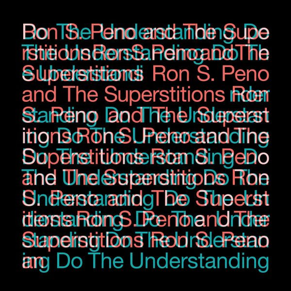 Do The Understanding (Vinyl)