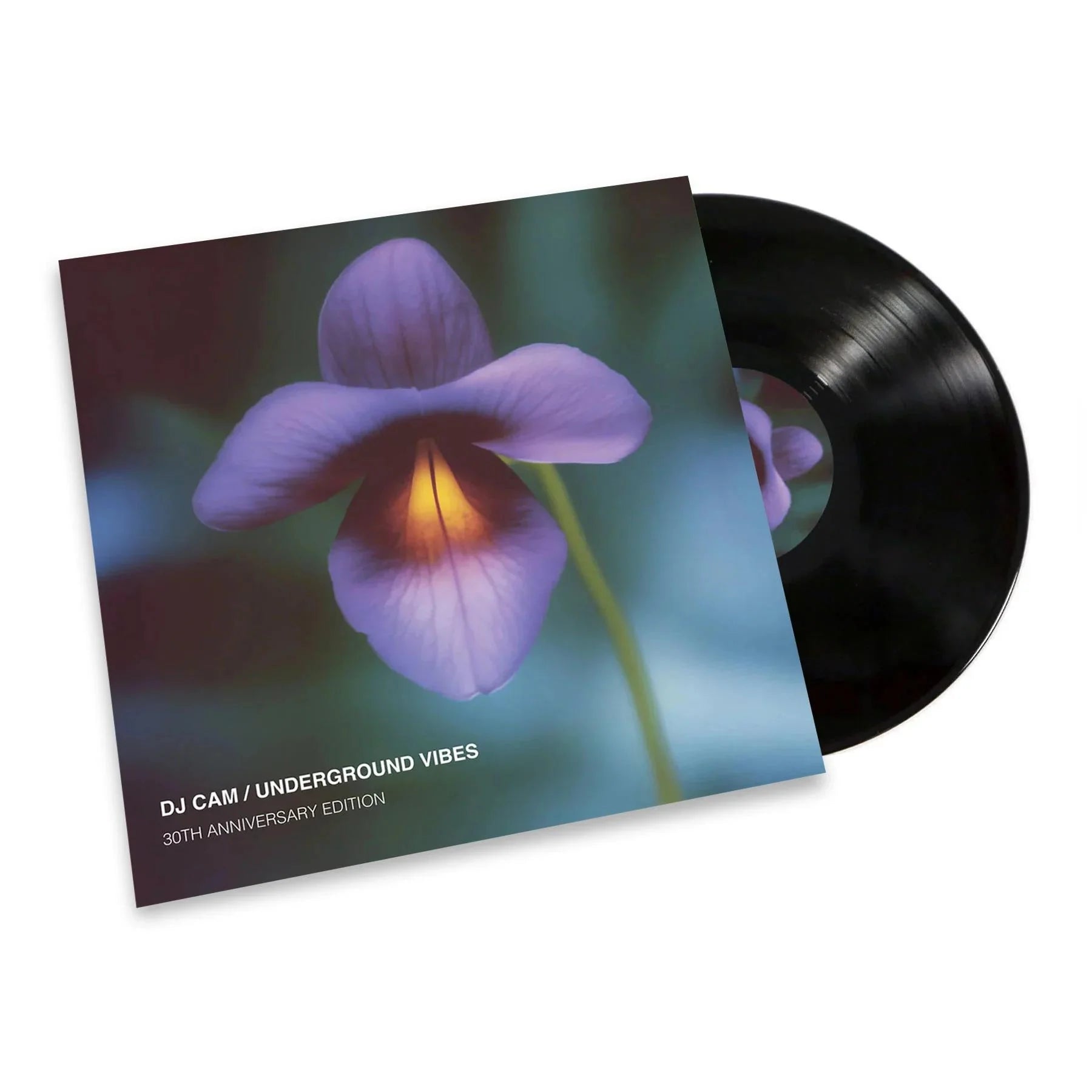 Underground Vibes (30th Anniversary Vinyl)