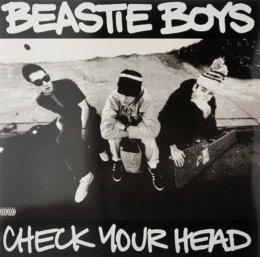 Check Your Head (Vinyl)
