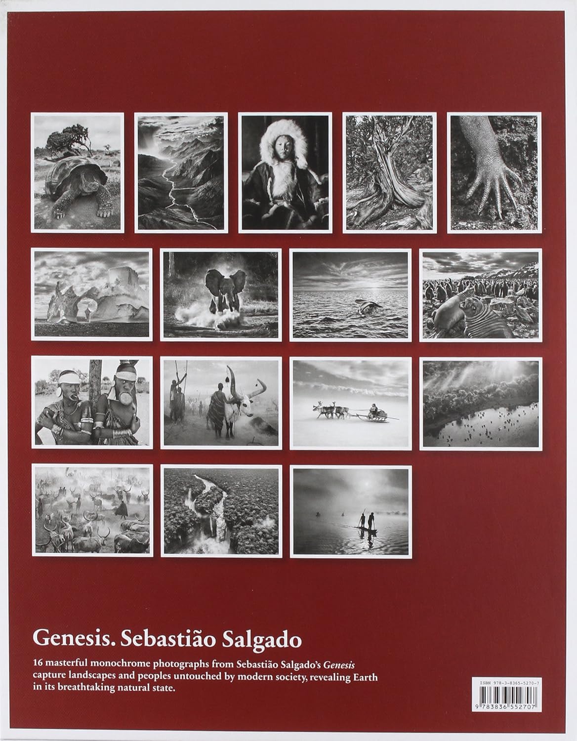 Salgado Poster Box (16 prints)