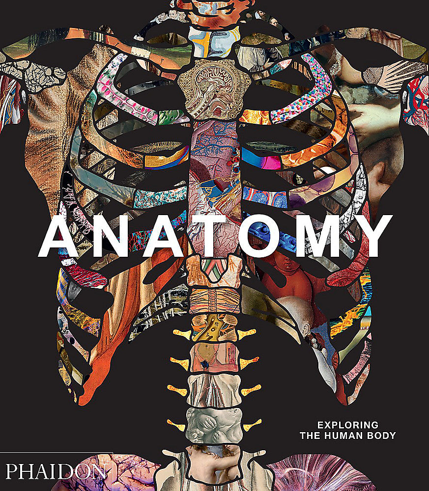 Anatomy  Exploring the Human Body