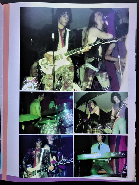 Radio Birdman: When The Birdmen Flew - An Illustrated History