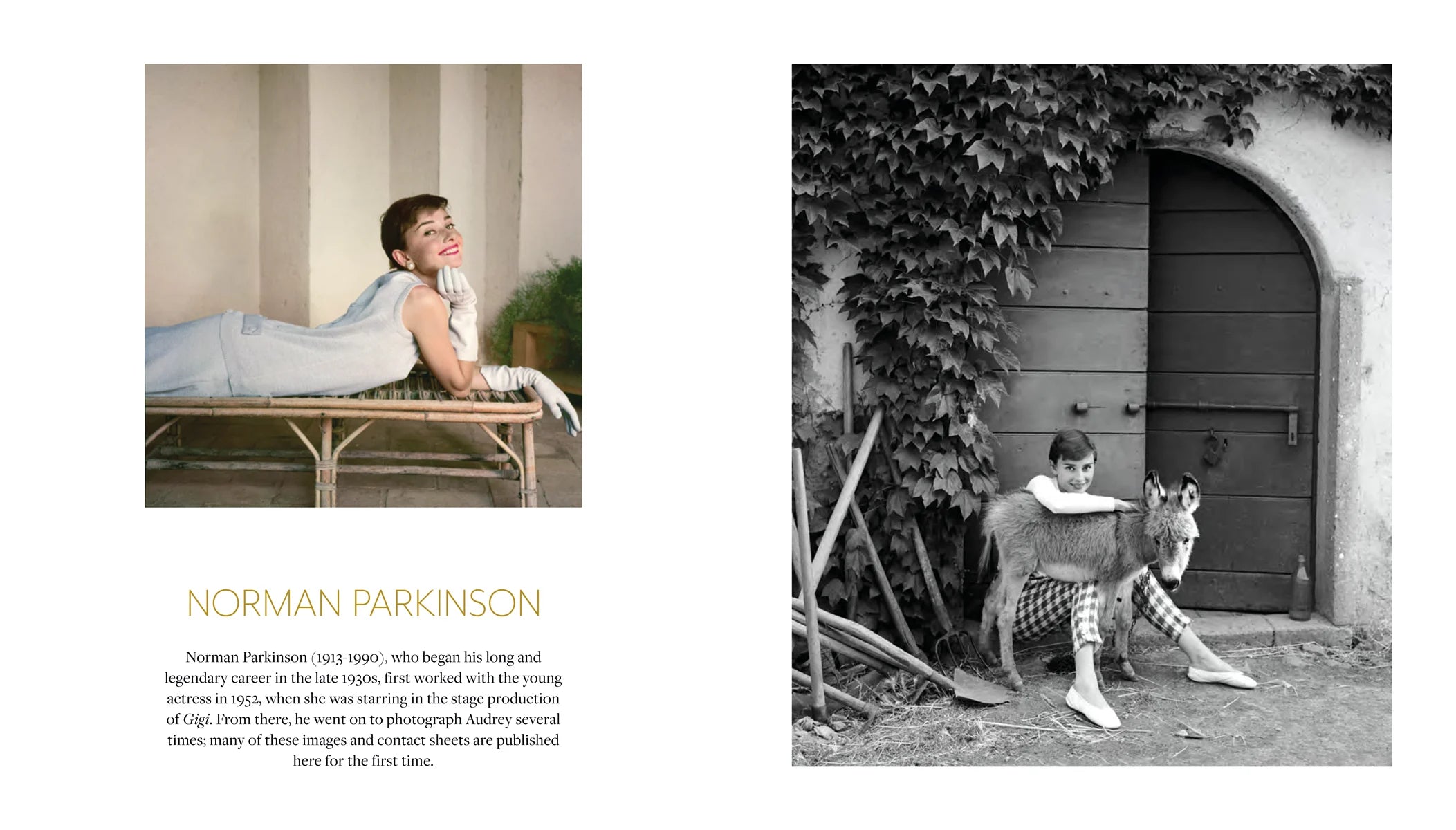 Always Audrey: Six Iconic Photographers, One Legendary Star