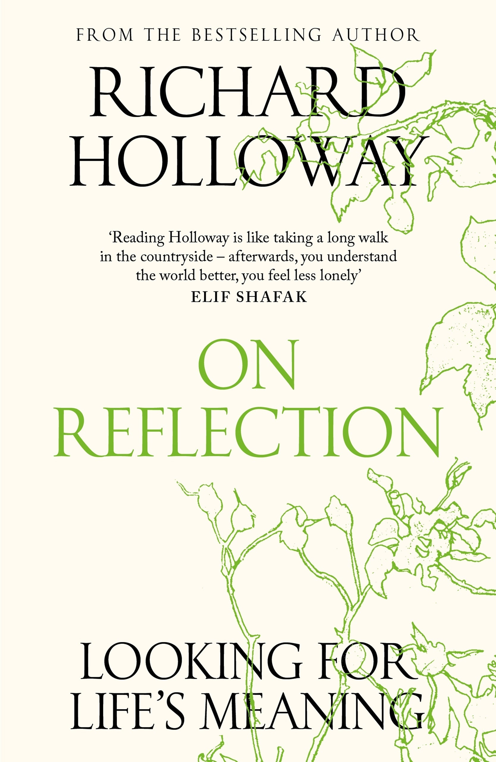 On Reflection Looking for Life's Meaning