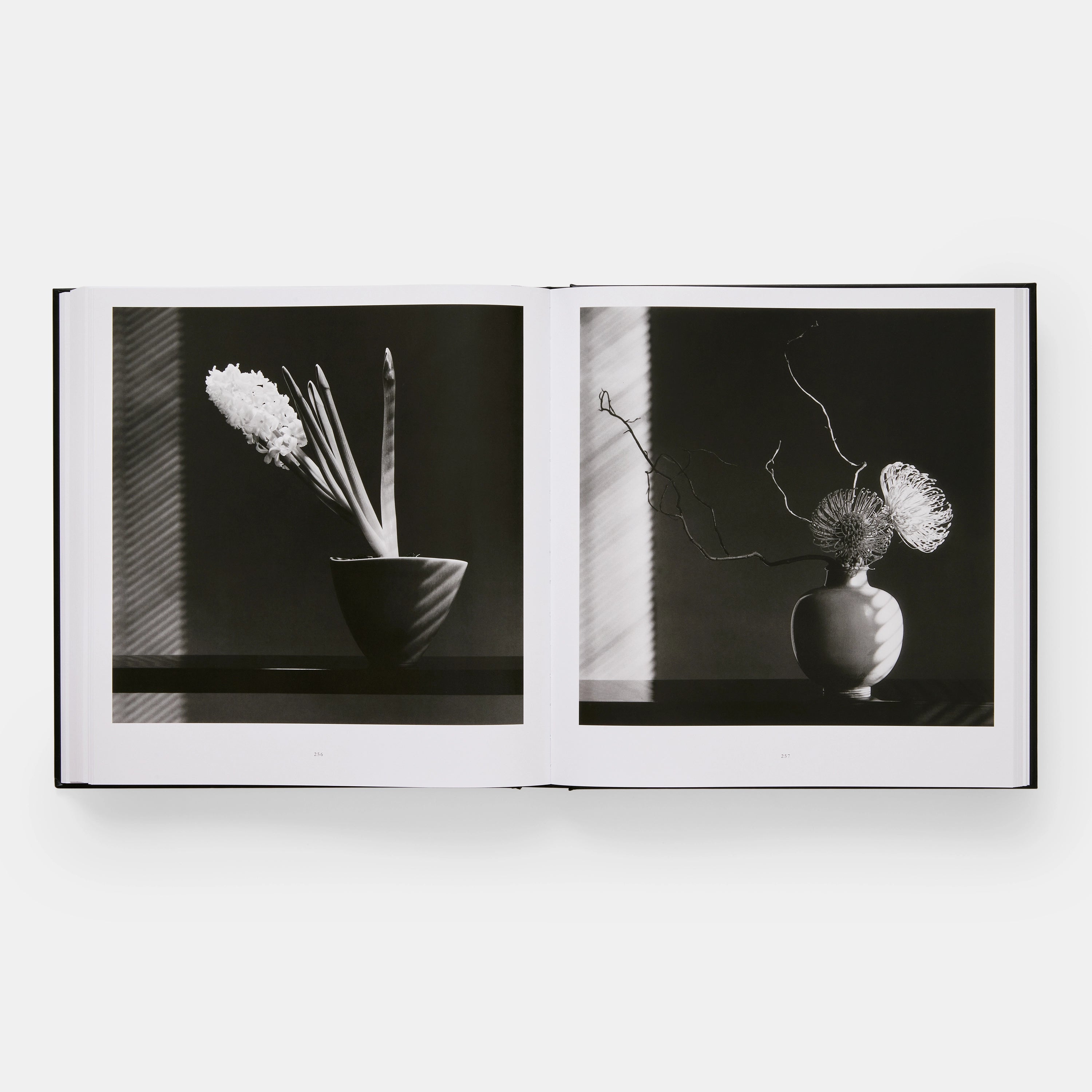 Mapplethorpe Flora: The Complete Flowers