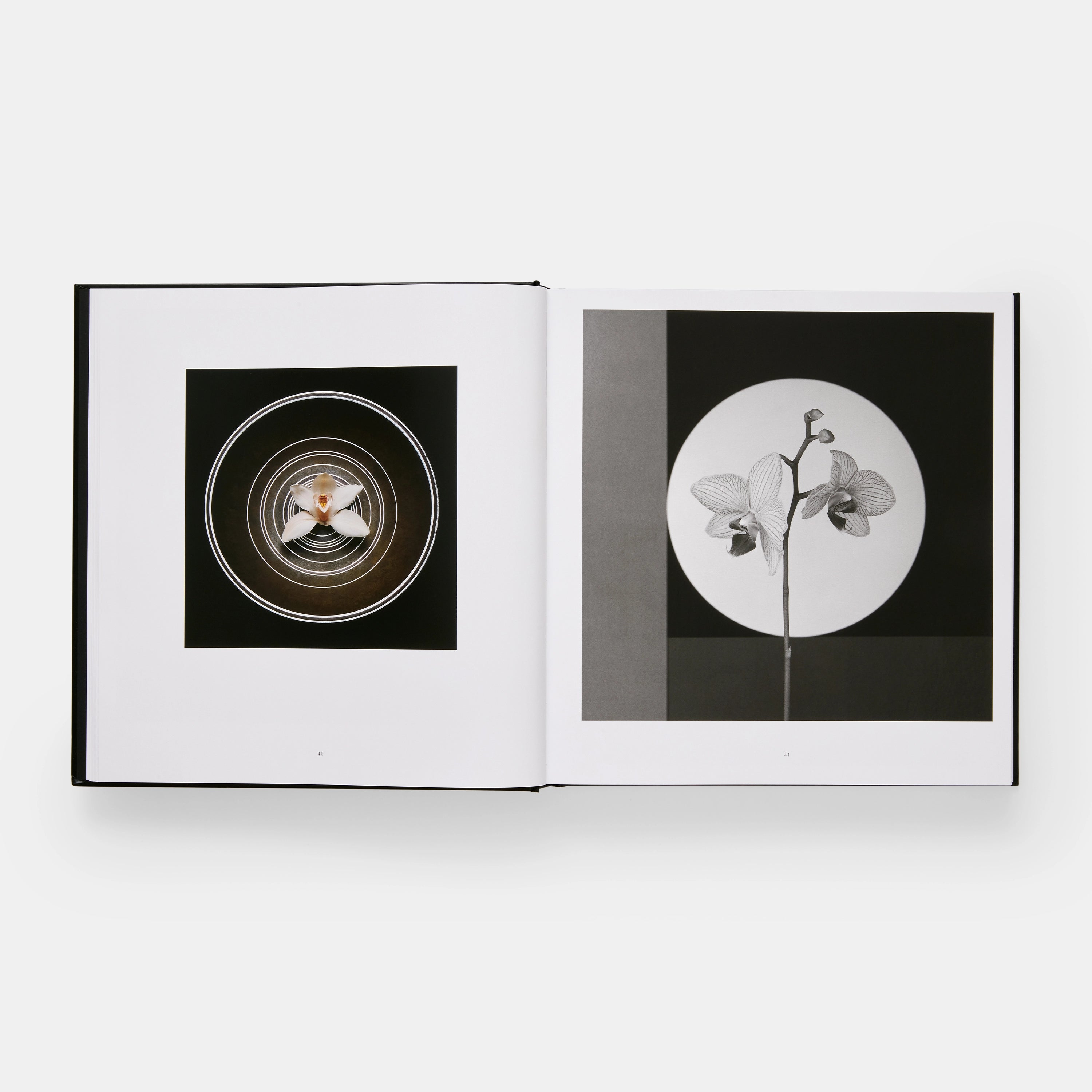 Mapplethorpe Flora: The Complete Flowers