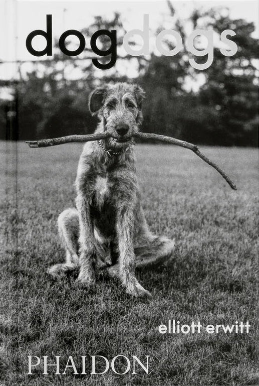 Elliott Erwitt: DogDogs
