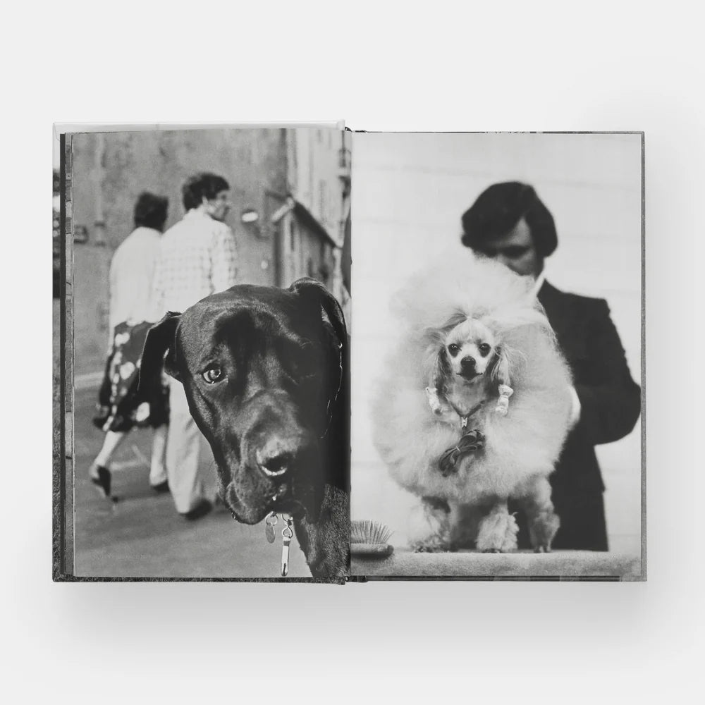 Elliott Erwitt: DogDogs