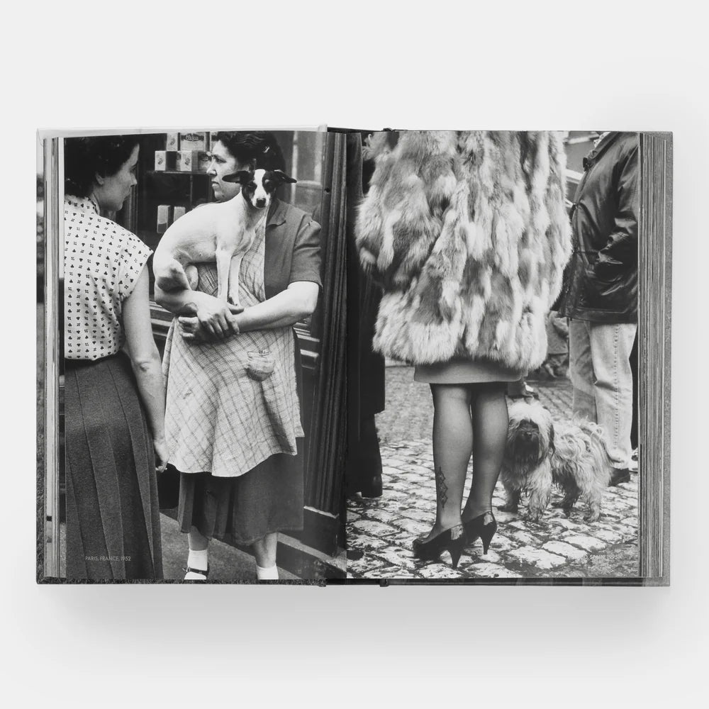 Elliott Erwitt: DogDogs