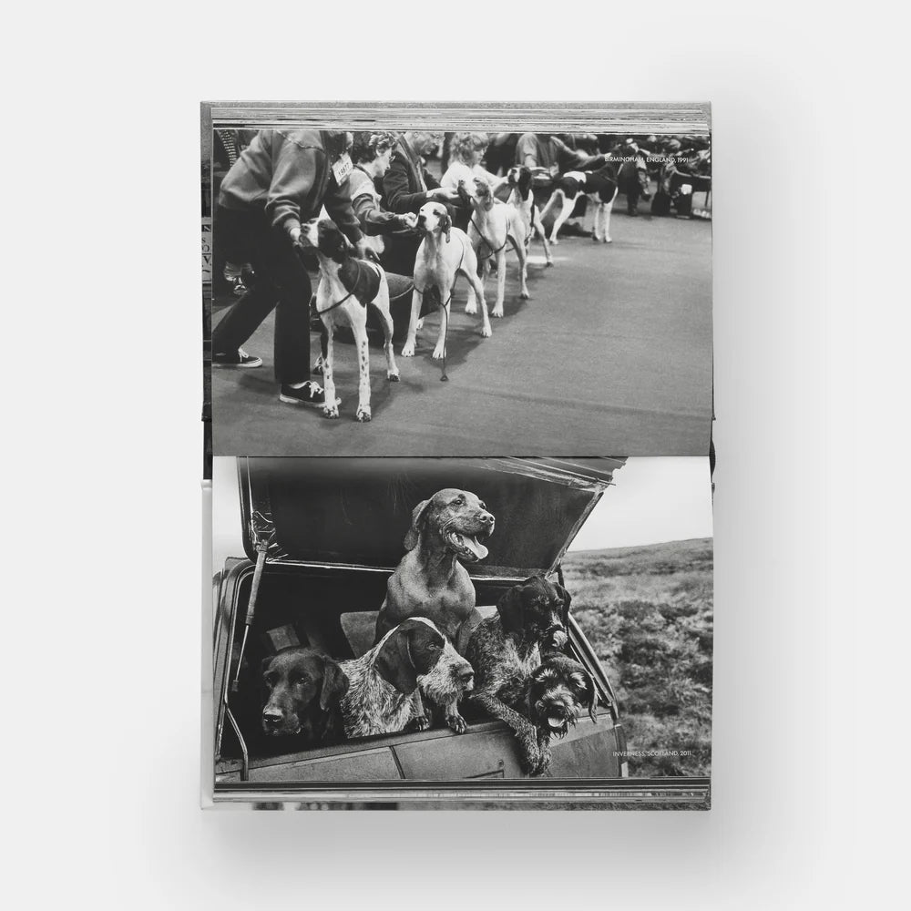 Elliott Erwitt: DogDogs