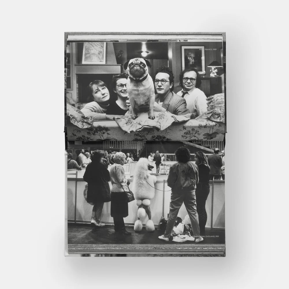 Elliott Erwitt: DogDogs
