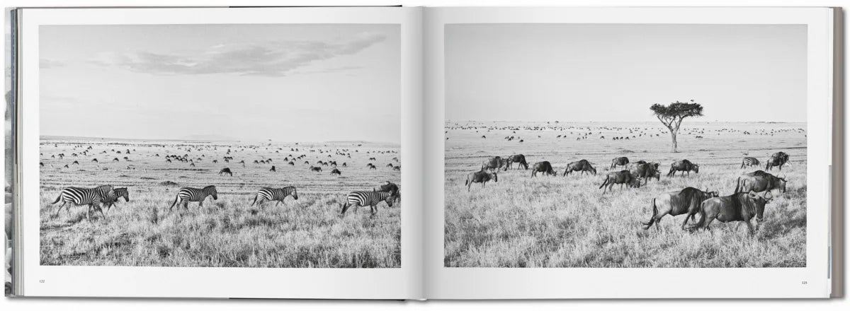 Africa: Sebastião Salgado