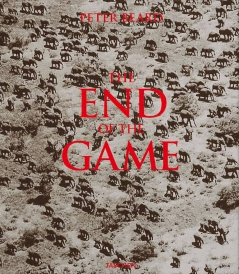 The End of the Game: The Last Word from Paradise