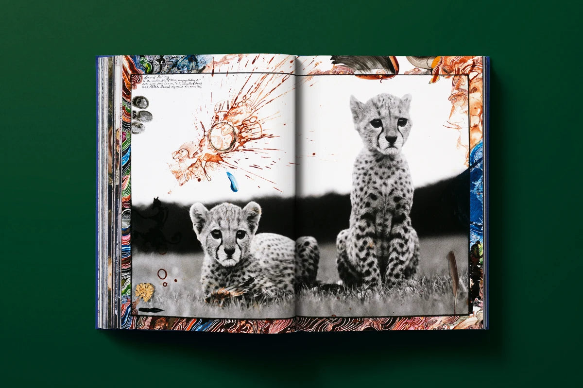 Peter Beard