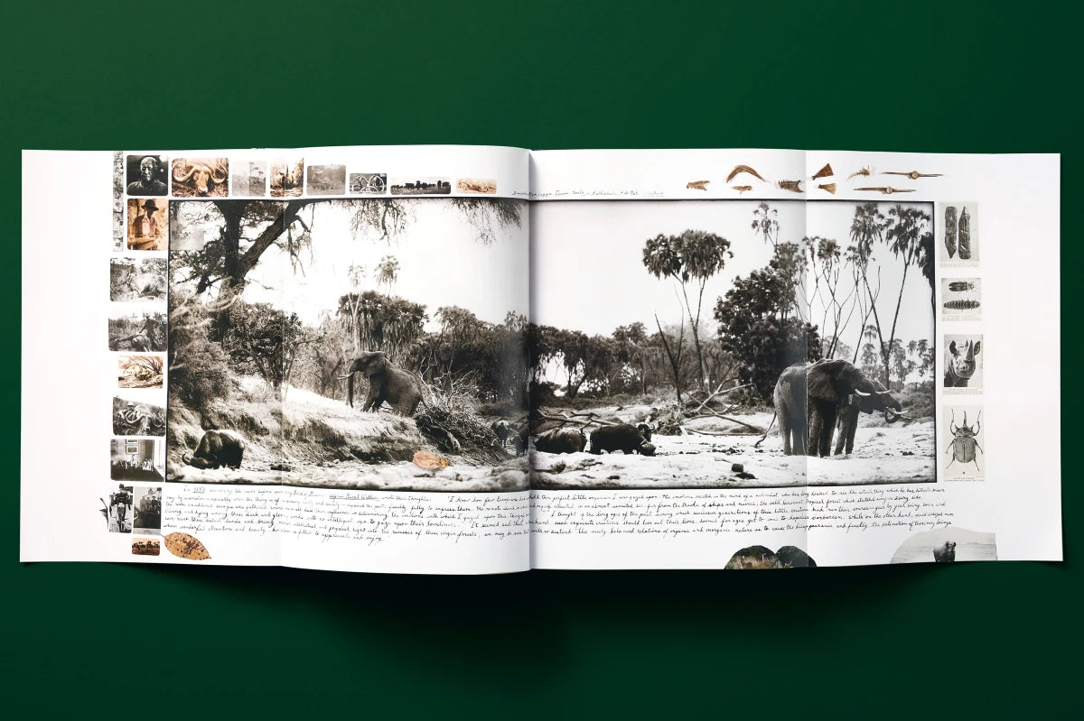 Peter Beard