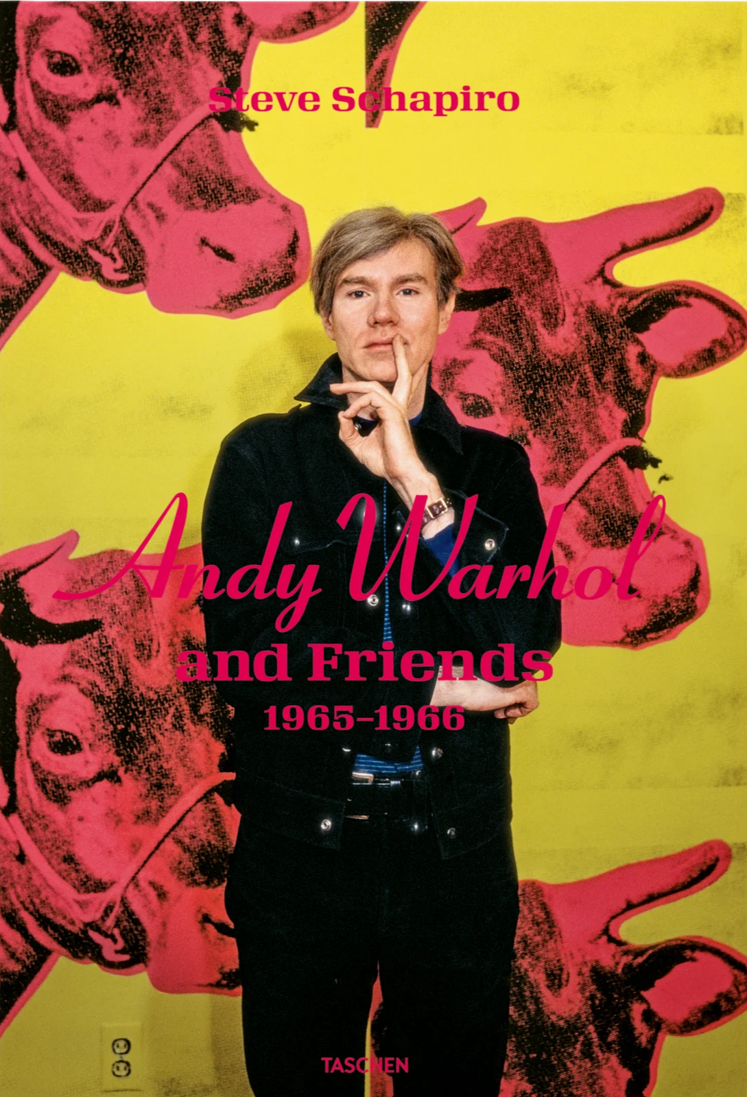 Steve Schapiro: Andy Warhol and Friends