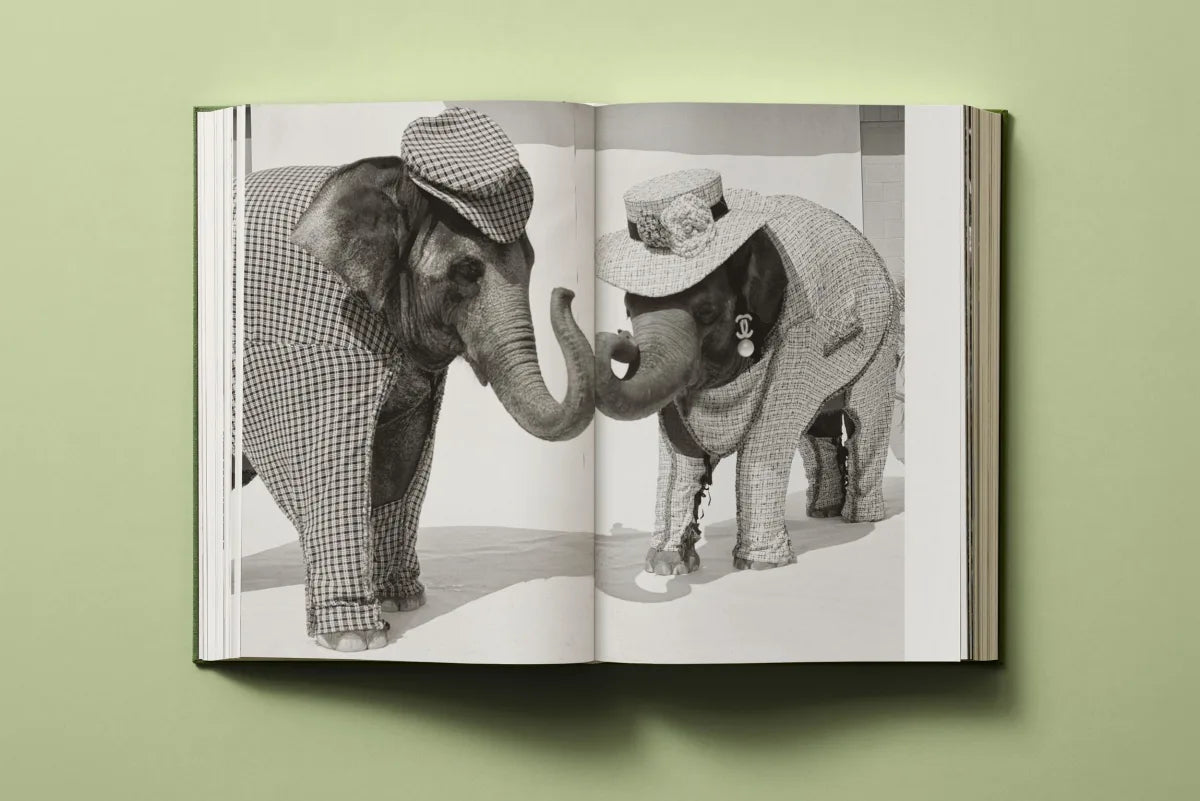 Bruce Weber: My Education