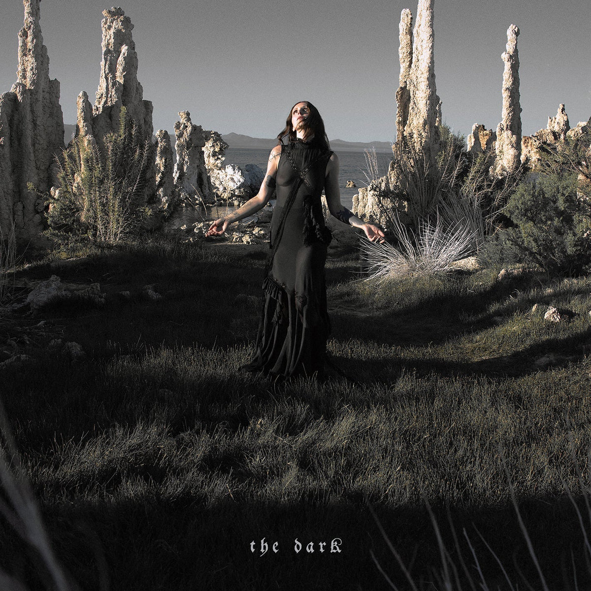 The Dark (Indie Exclusive Forest Green Vinyl)