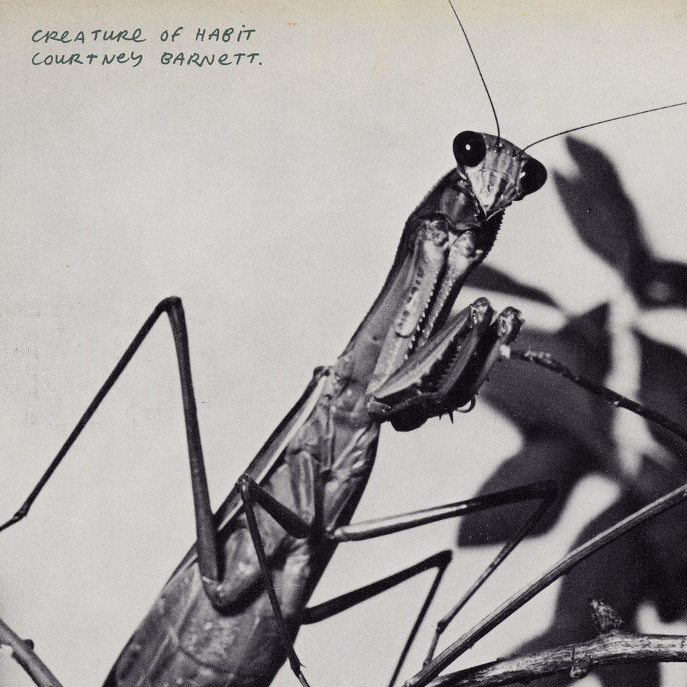 Creature Of Habit (Indie Caramel Vinyl)
