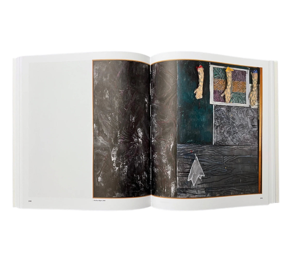 Jasper Johns Mind/Mirror