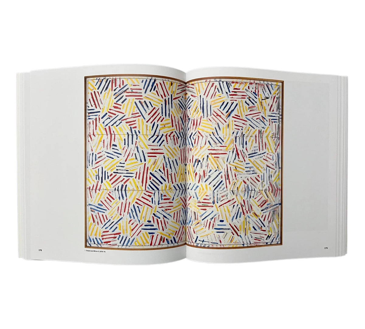 Jasper Johns Mind/Mirror
