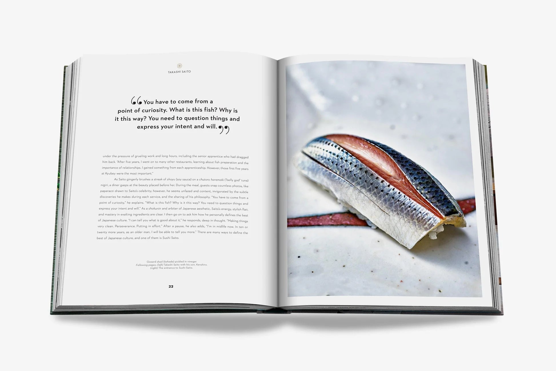 Sushi Shokunin: Japan's Culinary Masters