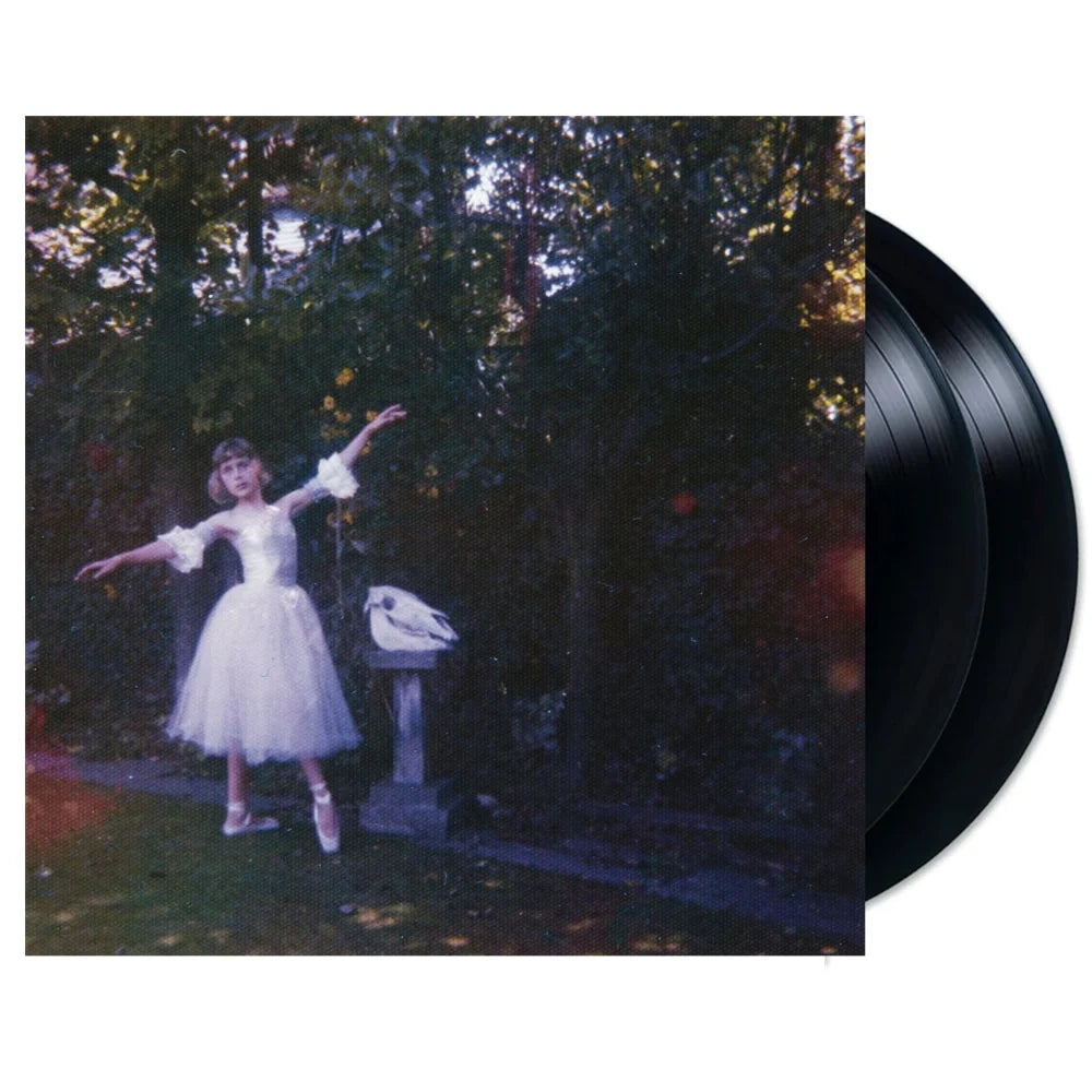 Visions Of A Life (Vinyl)