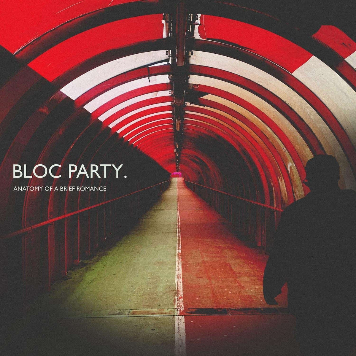 Anatomy Of A Brief Romance (Red Vinyl)