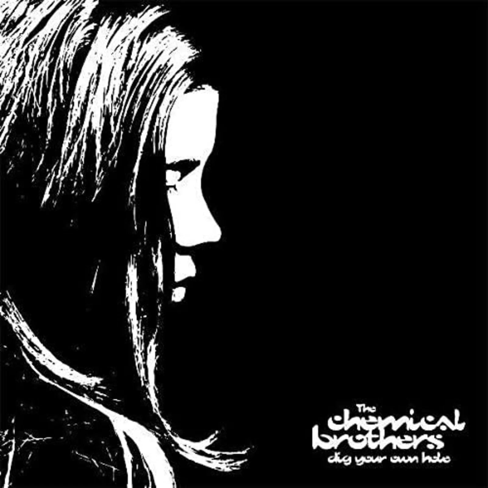 Dig Your Own Hole (Vinyl)