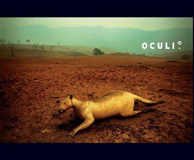 Oculi