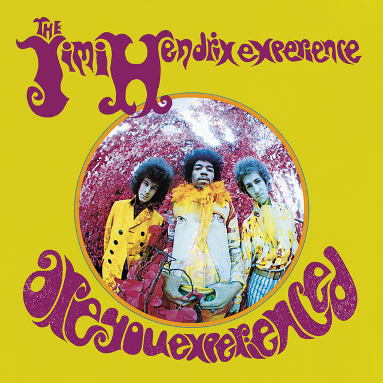 Are You Experienced (Vinyl)